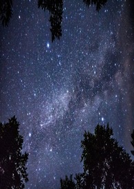 绝对吸引【父女ABO】